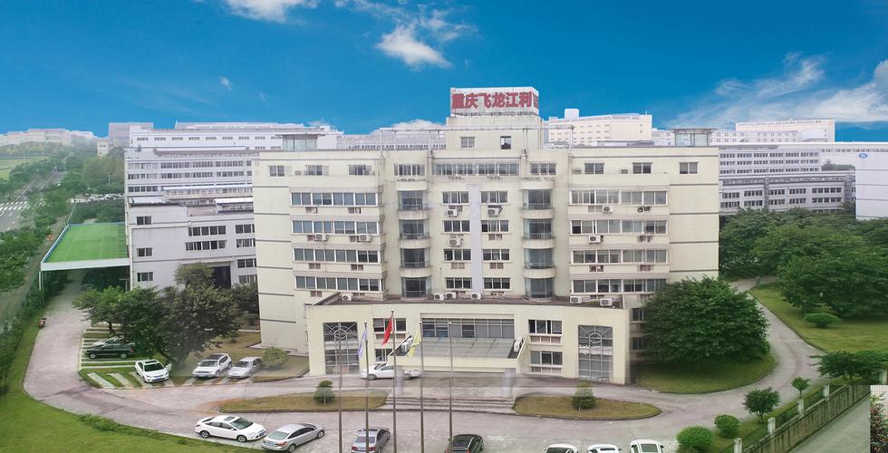 重庆飞龙江利汽车部件有限公司企业网站建设方案——飞龙汽车部件股份旗下重庆企业数字化门户