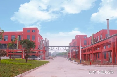 新面貌，新征程！重庆树荣长寿新工厂全面建成的里程碑意义